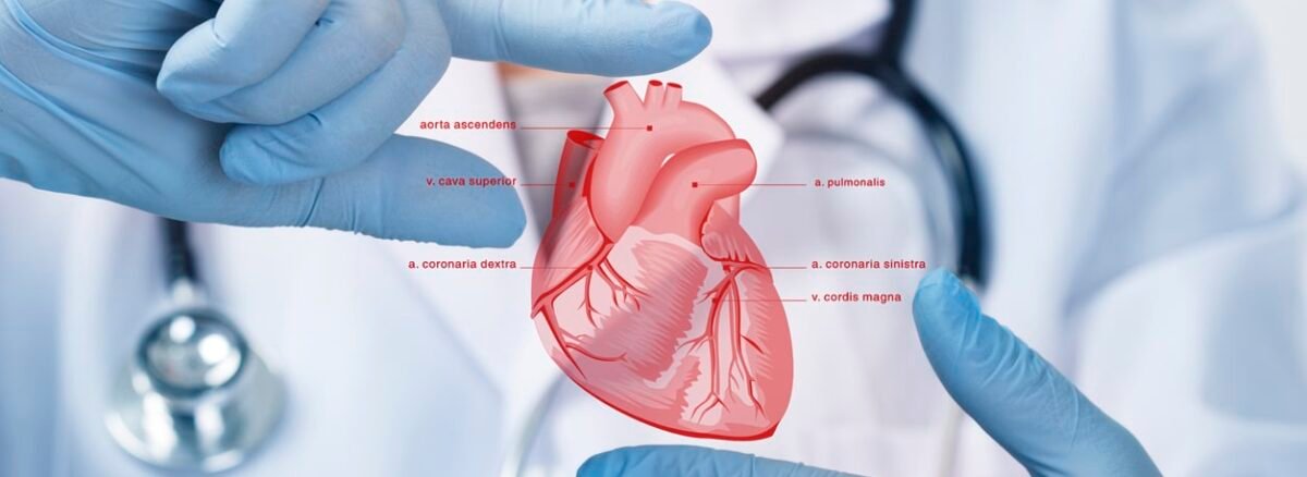 prakash-hospital-cardiology-Manesar