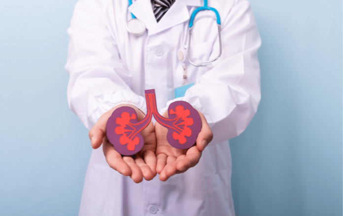 kidney health